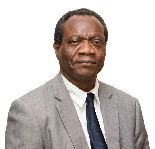 Professor Matthew O. Adigun